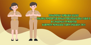 Pengumuman Tambahan Seleksi PPPK Tahap II