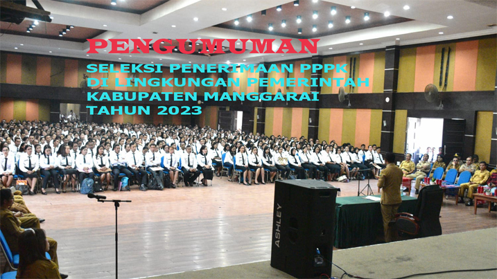 pengumuman P3K 2023 ok