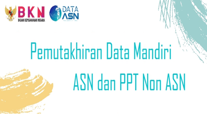 pdm
